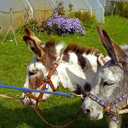 ベッド・アンド・ブレックファスト D'hotes Du Coq A L'ane