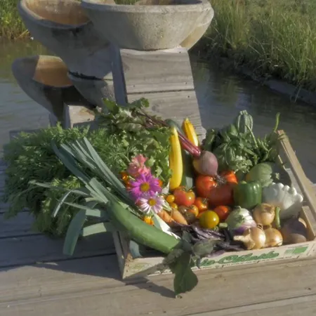 D'hotes Du Coq A L'ane ベッド・アンド・ブレックファスト Beaubec-la-Rosière