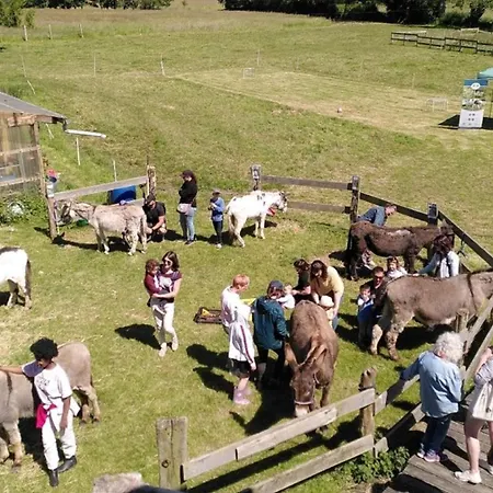 D'hotes Du Coq A L'ane ベッド・アンド・ブレックファスト Beaubec-la-Rosière